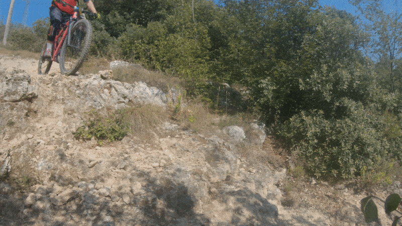 DVO ONYX SC D1 COMPRESS GIF