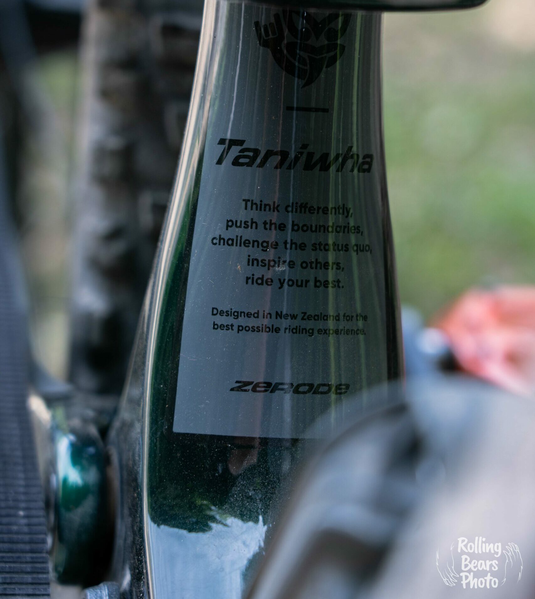 zerode taniwha mullet enduro pinion c1.9 c1.12 smart shift grip shift mtb G3 hope fortus pro5