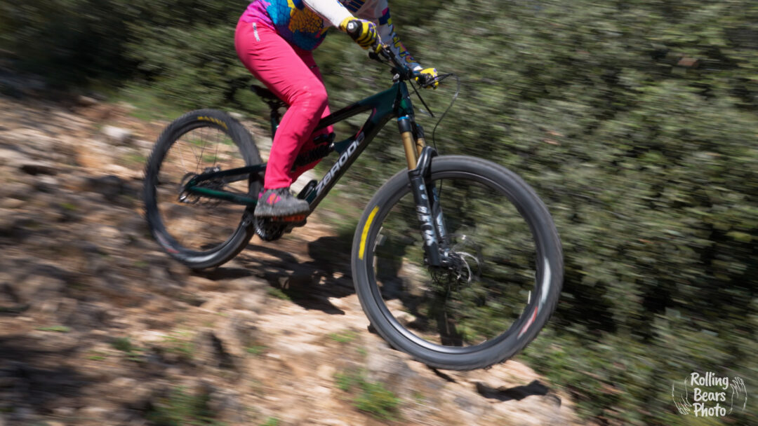 zerode taniwha mullet enduro pinion c1.9 c1.12 smart shift grip shift mtb G3 hope fortus pro5